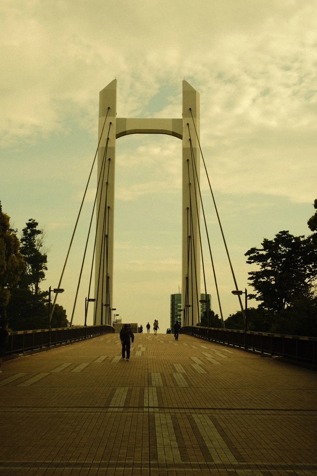 Selected photograph 2