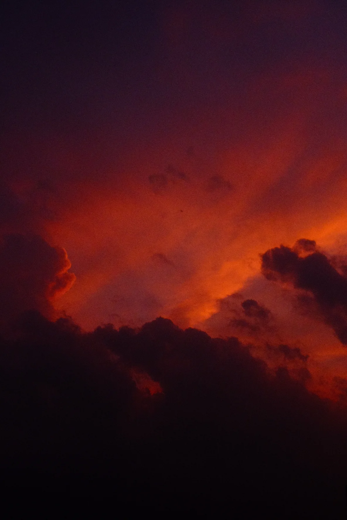 Selected photograph 4
