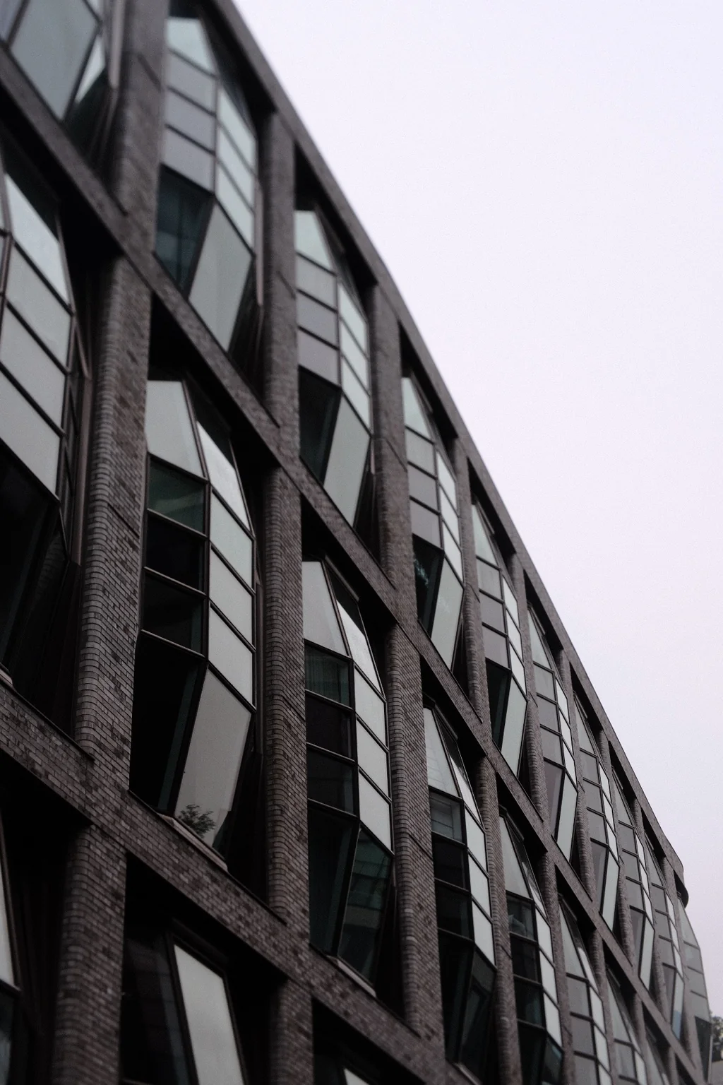 Selected photograph 5