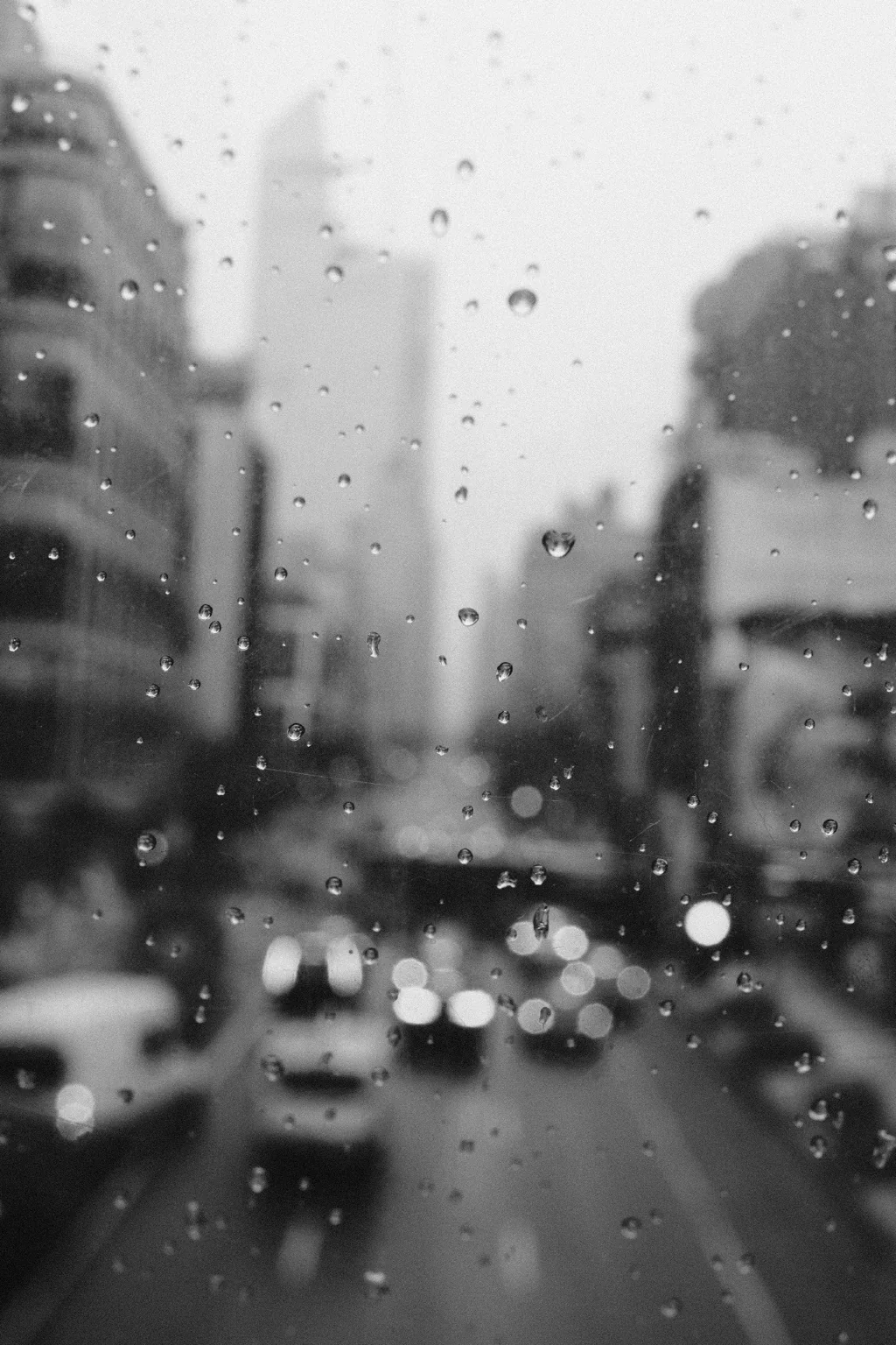 Selected photograph 6
