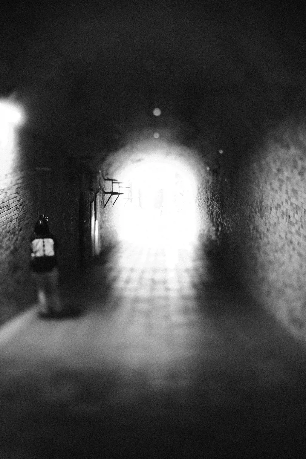 Selected photograph 8