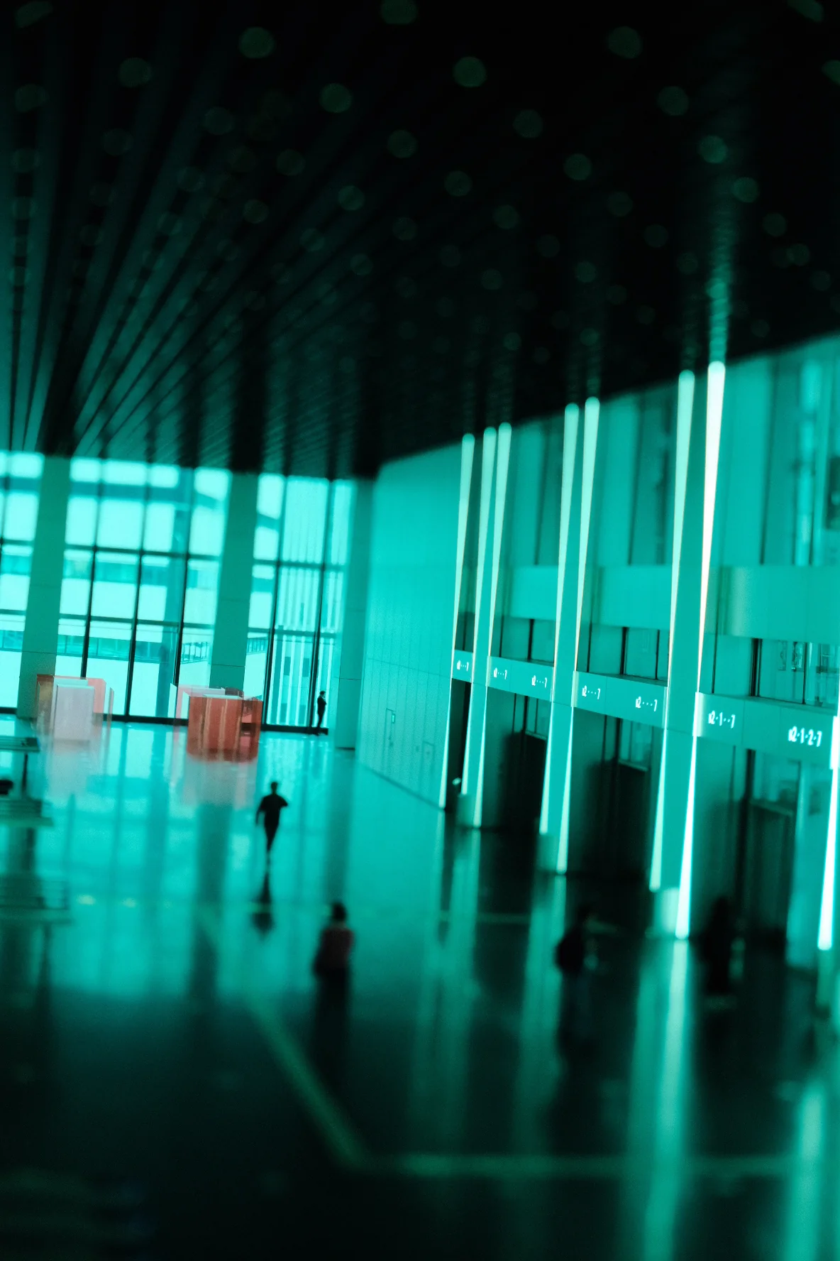 Selected photograph 9