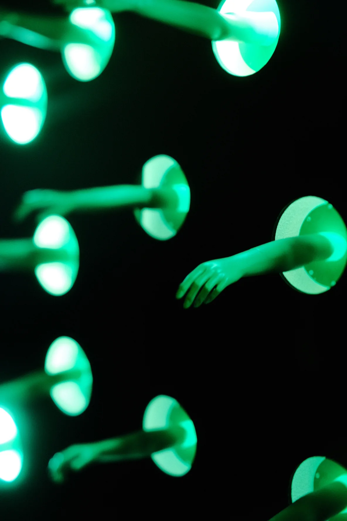 Selected photograph 10