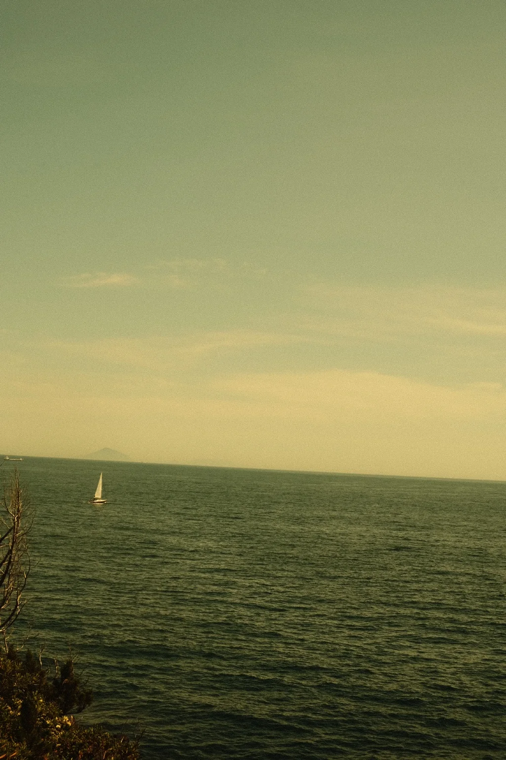 Selected photograph 13