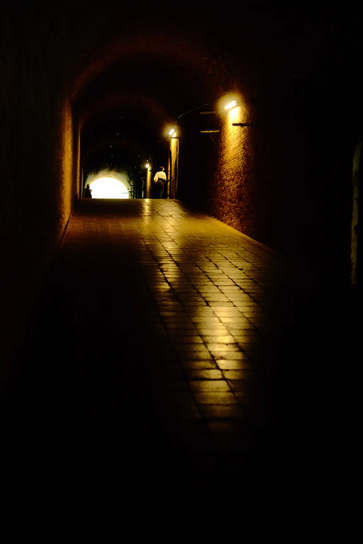Selected photograph 17